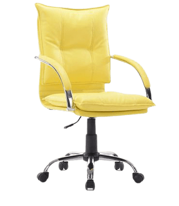 Cadeira Diretor Pelegrin PEL-280